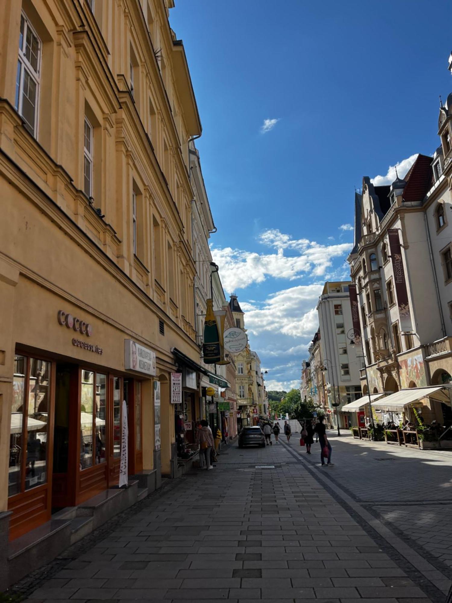 Stylish Centre Apartment Tgm Karlovy Vary Eksteriør bilde